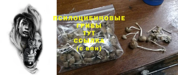 хмурый Верхний Тагил