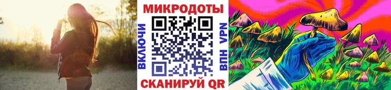 Галлюциногенные грибы Psilocybe  Купить закладки  Валуйки 